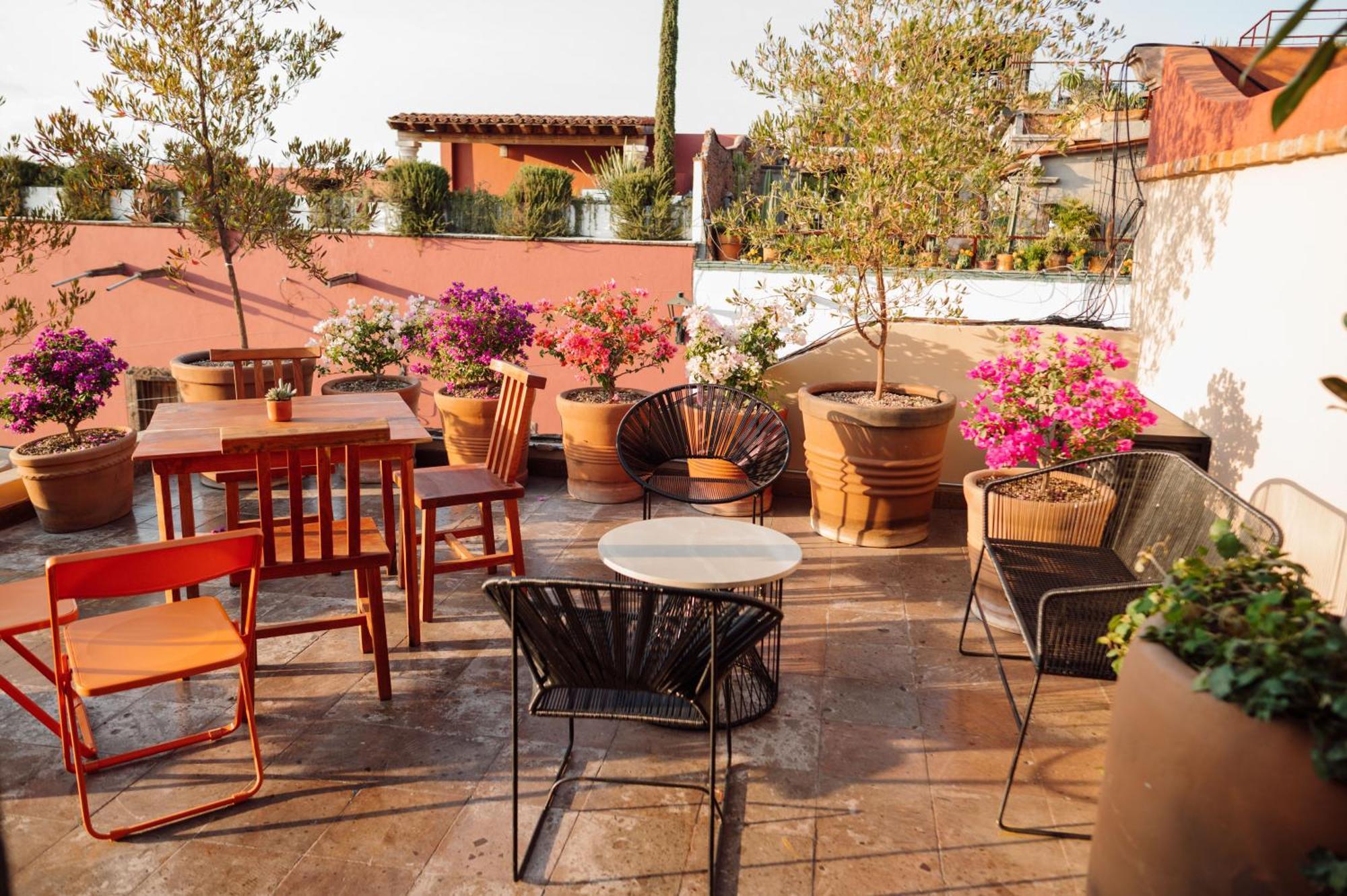 Maison Mexique Hotel Boutique Σαν Μιγκέλ ντε Αγιέντε Εξωτερικό φωτογραφία
